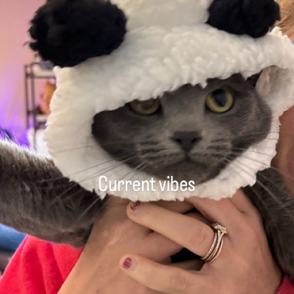 Meet your Posh Ambassador, Jennifer - Picture 1 of 13